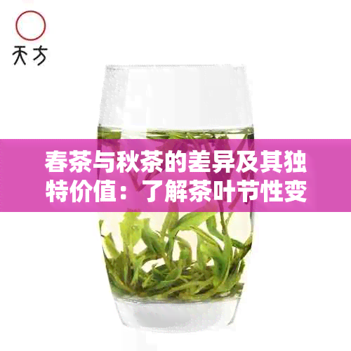 春茶与秋茶的差异及其独特价值：了解茶叶节性变化的重要性