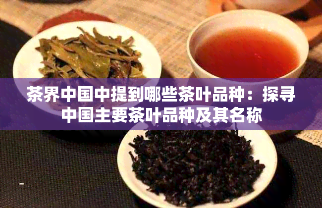 茶界中国中提到哪些茶叶品种：探寻中国主要茶叶品种及其名称