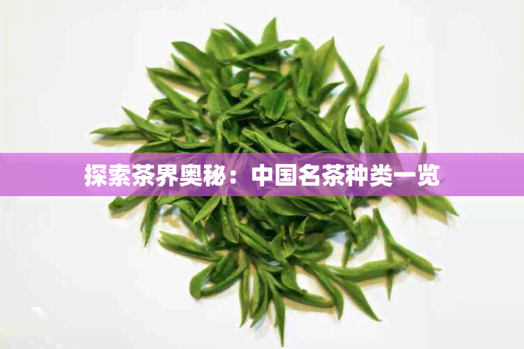 探索茶界奥秘：中国名茶种类一览