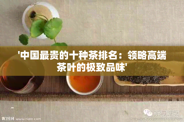 '中国最贵的十种茶排名：领略高端茶叶的极致品味'