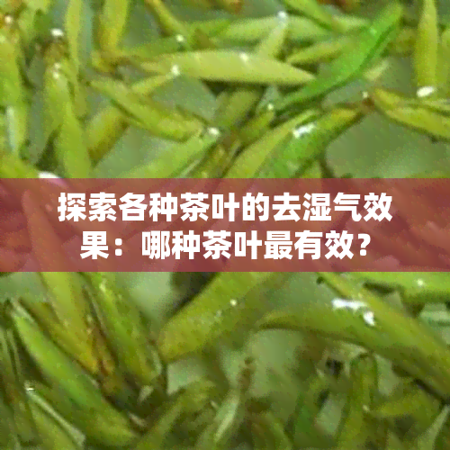 探索各种茶叶的去湿气效果：哪种茶叶最有效？