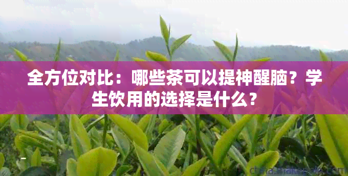 全方位对比：哪些茶可以提神醒脑？学生饮用的选择是什么？