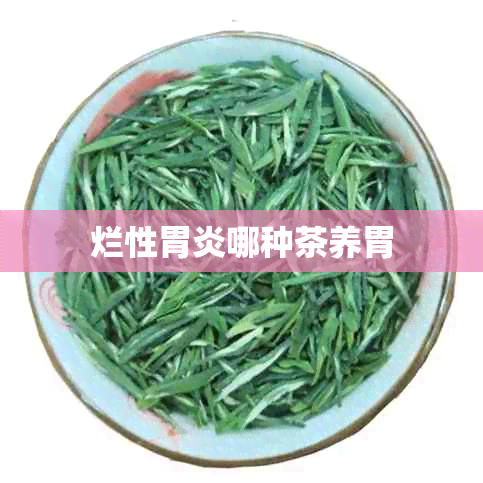 烂性胃炎哪种茶养胃