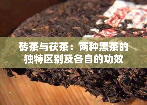 砖茶与茯茶：两种黑茶的独特区别及各自的功效