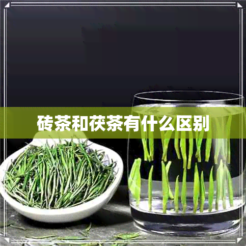 砖茶和茯茶有什么区别