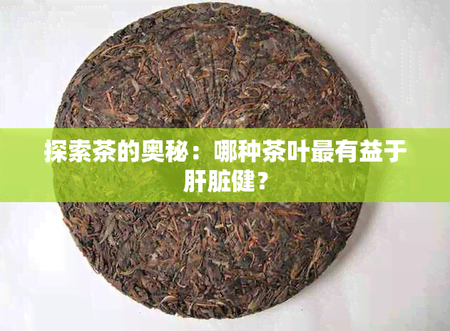 探索茶的奥秘：哪种茶叶最有益于肝脏健？