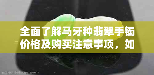 全面了解马牙种翡翠手镯价格及购买注意事项，如何选购适合自己的翡翠手镯？