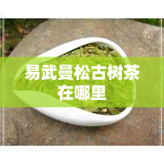 易武曼松古树茶在哪里