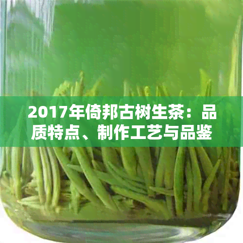 2017年倚邦古树生茶：品质特点、制作工艺与品鉴方法全方位解析