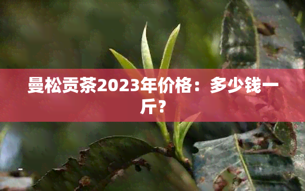 曼松贡茶2023年价格：多少钱一斤？