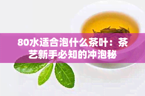 80水适合泡什么茶叶：茶艺新手必知的冲泡秘