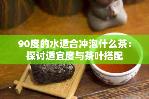 90度的水适合冲泡什么茶：探讨适宜度与茶叶搭配