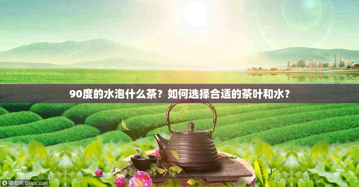 90度的水泡什么茶？如何选择合适的茶叶和水？