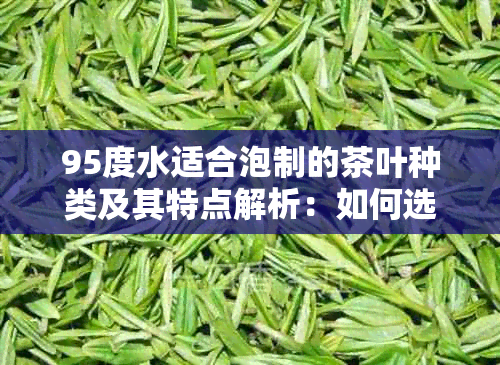 95度水适合泡制的茶叶种类及其特点解析：如何选择茶叶度