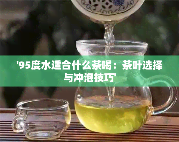 '95度水适合什么茶喝：茶叶选择与冲泡技巧'