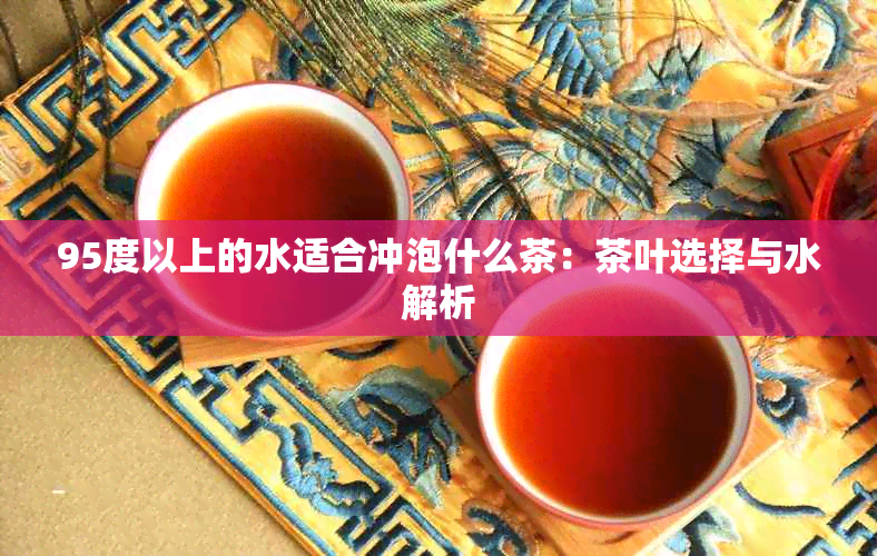 95度以上的水适合冲泡什么茶：茶叶选择与水解析