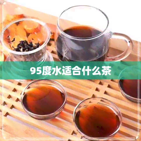 95度水适合什么茶