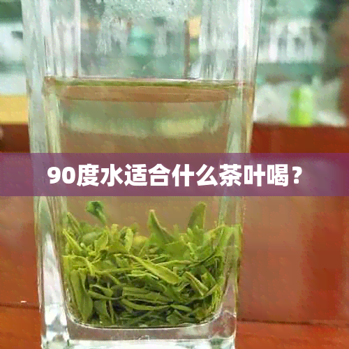 90度水适合什么茶叶喝？