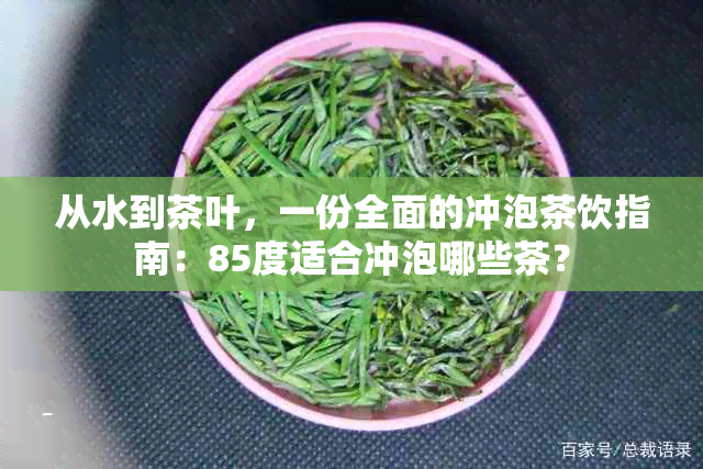 从水到茶叶，一份全面的冲泡茶饮指南：85度适合冲泡哪些茶？