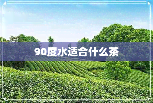 90度水适合什么茶