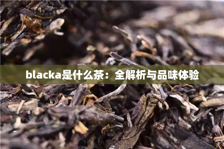 blacka是什么茶：全解析与品味体验