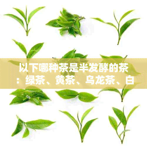 以下哪种茶是半发酵的茶：绿茶、黄茶、乌龙茶、白茶