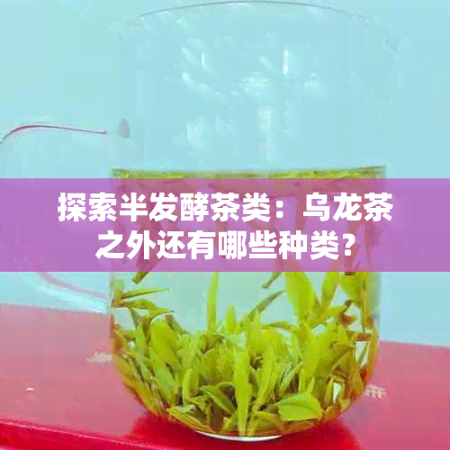 探索半发酵茶类：乌龙茶之外还有哪些种类？