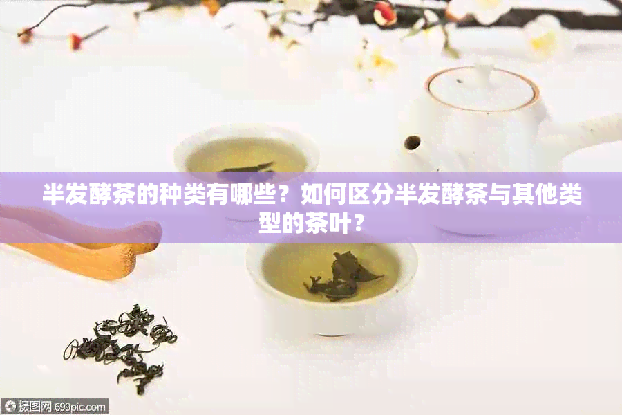 半发酵茶的种类有哪些？如何区分半发酵茶与其他类型的茶叶？