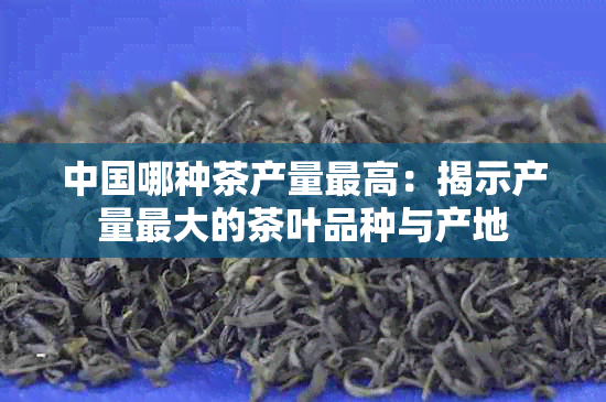 中国哪种茶产量更高：揭示产量更大的茶叶品种与产地