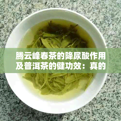 腾云峰春茶的降尿酸作用及普洱茶的健功效：真的有治疗效果吗？