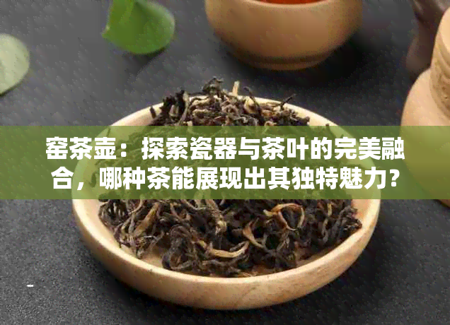 窑茶壶：探索瓷器与茶叶的完美融合，哪种茶能展现出其独特魅力？