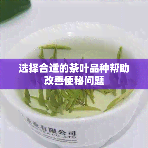 选择合适的茶叶品种帮助改善便秘问题