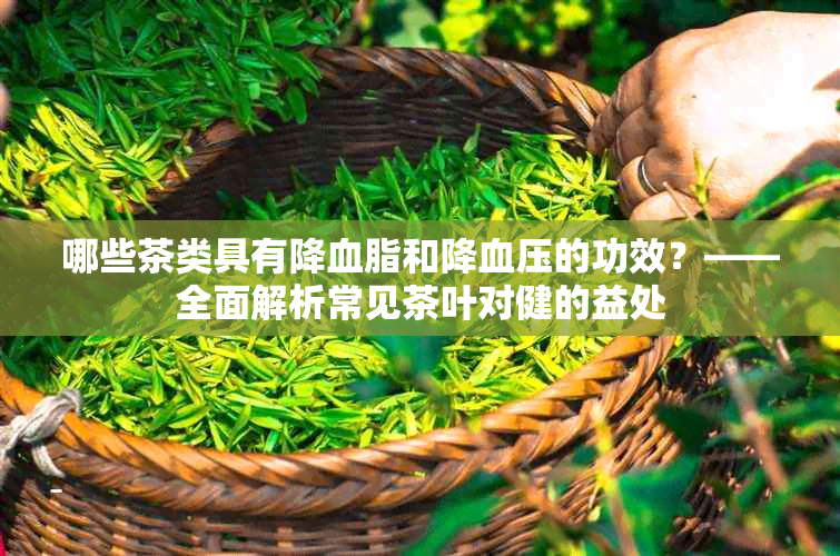 哪些茶类具有降血脂和降血压的功效？——全面解析常见茶叶对健的益处