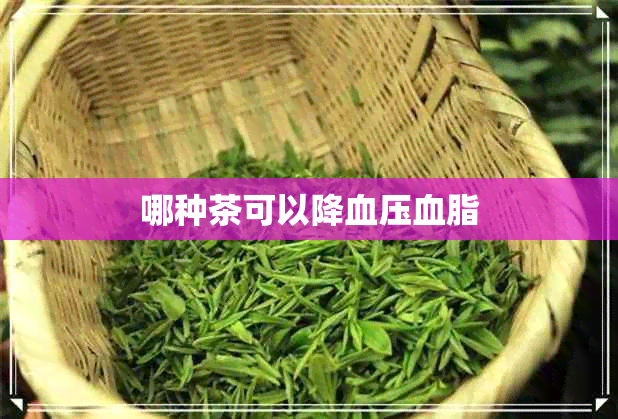 哪种茶可以降血压血脂