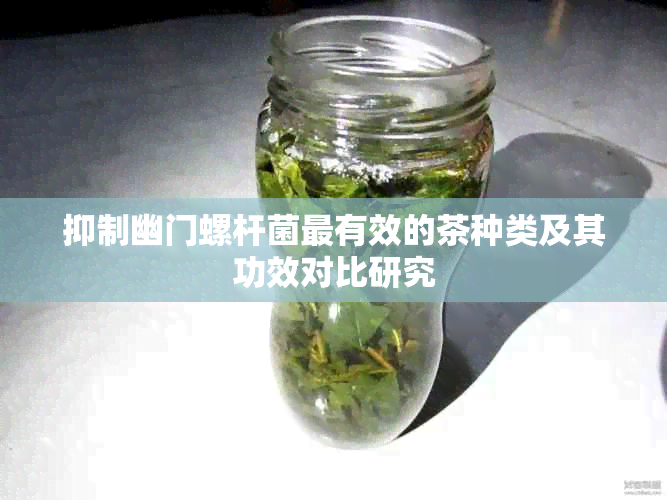 抑制幽门螺杆菌最有效的茶种类及其功效对比研究