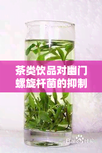 茶类饮品对幽门螺旋杆菌的抑制作用及其影响因素：一篇全面的研究综述