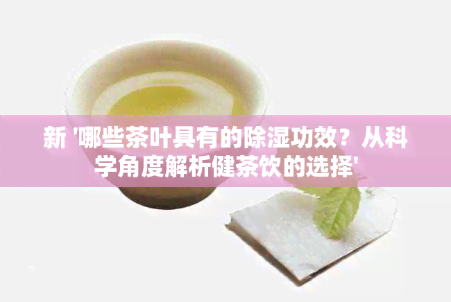 新 '哪些茶叶具有的除湿功效？从科学角度解析健茶饮的选择'