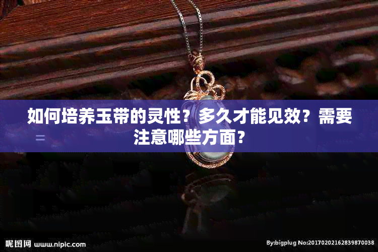 如何培养玉带的灵性？多久才能见效？需要注意哪些方面？