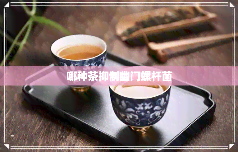 哪种茶抑制幽门螺杆菌