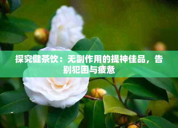 探究健茶饮：无副作用的提神佳品，告别犯困与疲惫