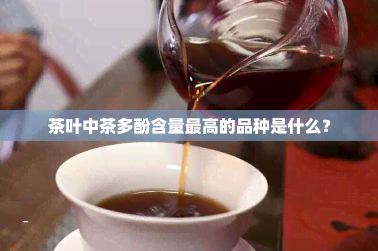 茶叶中茶多酚含量更高的品种是什么？