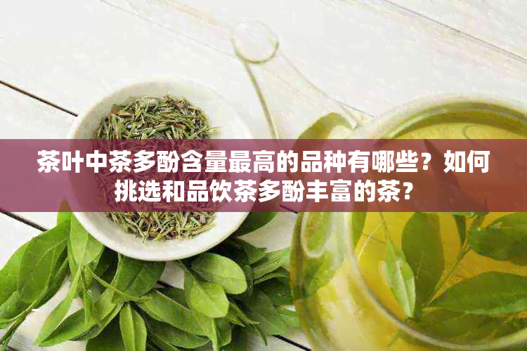 茶叶中茶多酚含量更高的品种有哪些？如何挑选和品饮茶多酚丰富的茶？