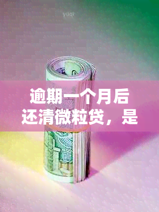 逾期一个月后还清微粒贷，是否可以再次使用借款服务？