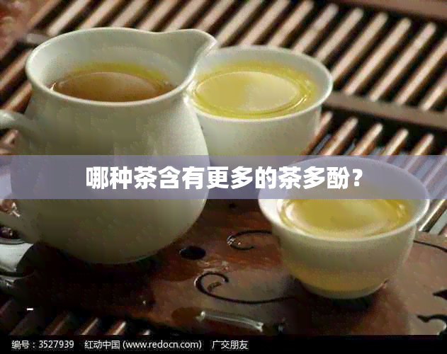 哪种茶含有更多的茶多酚？