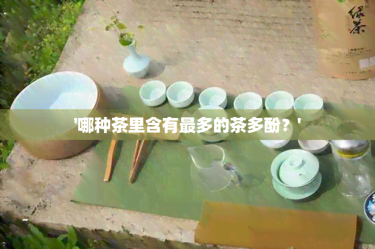 '哪种茶里含有最多的茶多酚？'