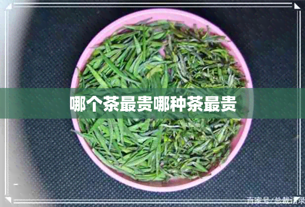 哪个茶最贵哪种茶最贵