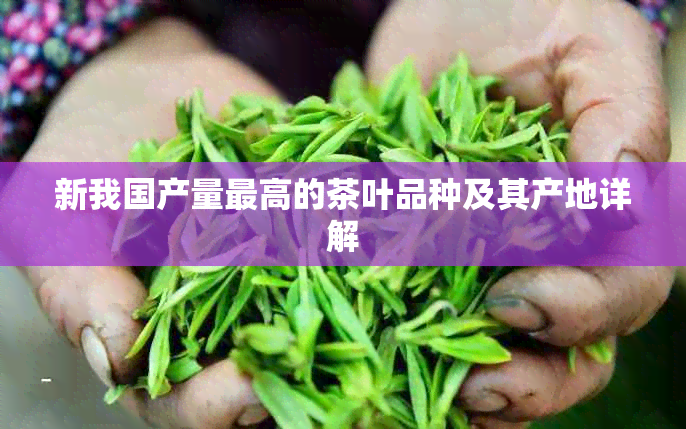 新我国产量更高的茶叶品种及其产地详解