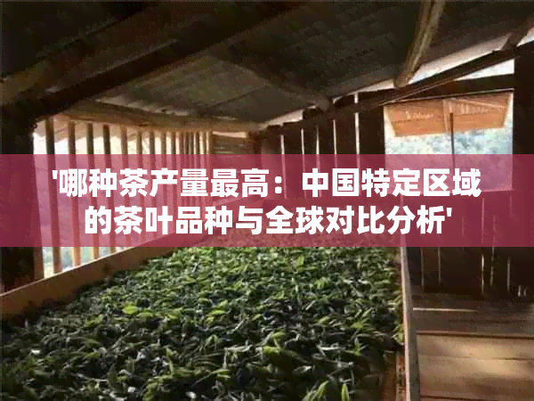 '哪种茶产量更高：中国特定区域的茶叶品种与全球对比分析'