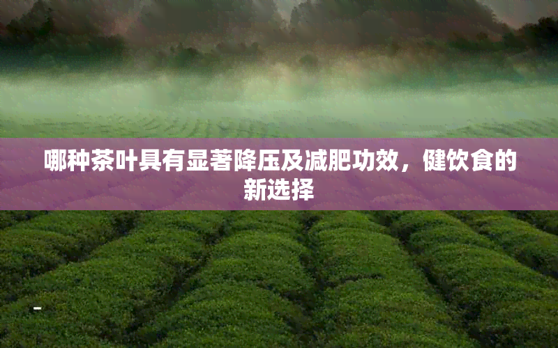 哪种茶叶具有显著降压及减肥功效，健饮食的新选择