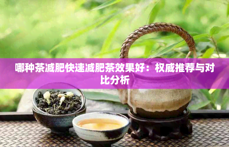 哪种茶减肥快速减肥茶效果好：权威推荐与对比分析